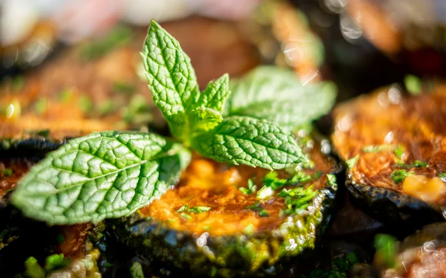 Grilled aubergine slices garnished with fresh mint