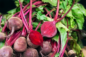 beets_bould_blog_300_199