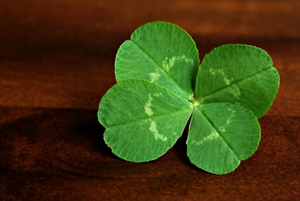 clover