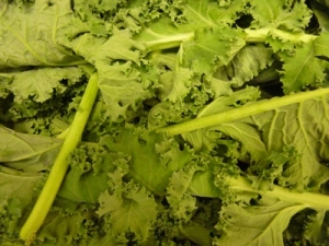 greensblog_300_225