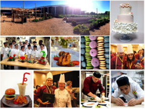 A Year in Review 2013 Accomplishments