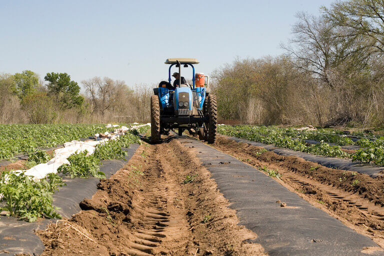 Blue tractor driving on a farm