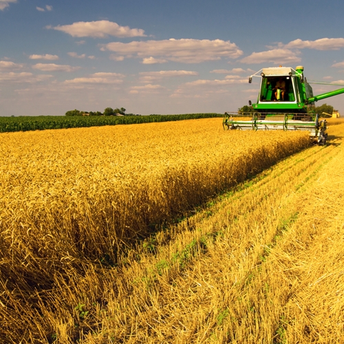Farms need to rotate crops to preserve soil richness.