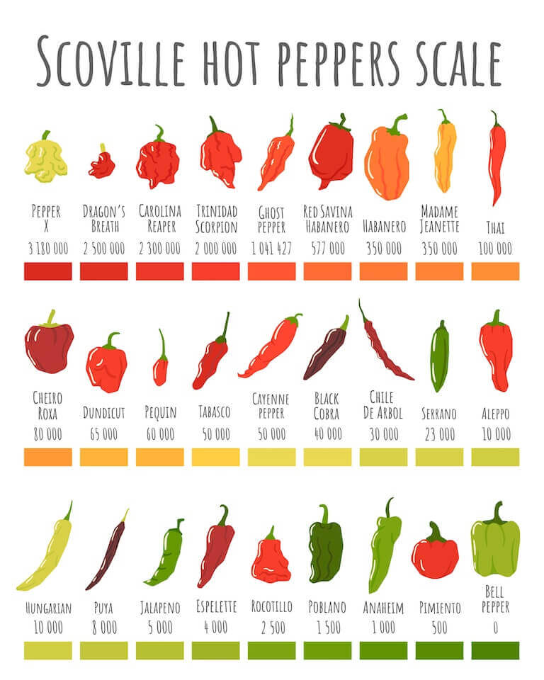 https://www.escoffier.edu/wp-content/uploads/2014/07/Scoville-Scale-pepper-illustration-showing-peppers-from-sweetest-to-the-most-heat-768.jpeg?utm_source=chatgpt.com