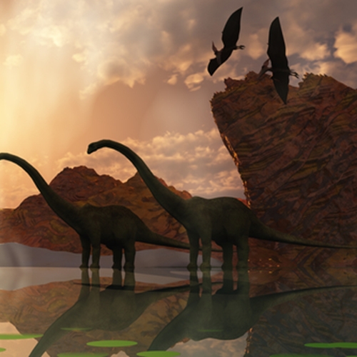 A paleo-friendly restaurant has come to Boulder.