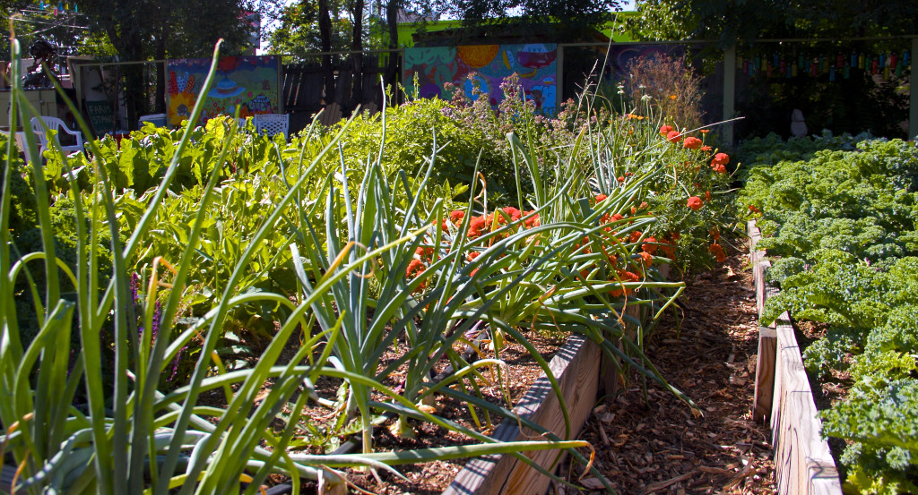 Sustainable community at Gabrielle’s Garden