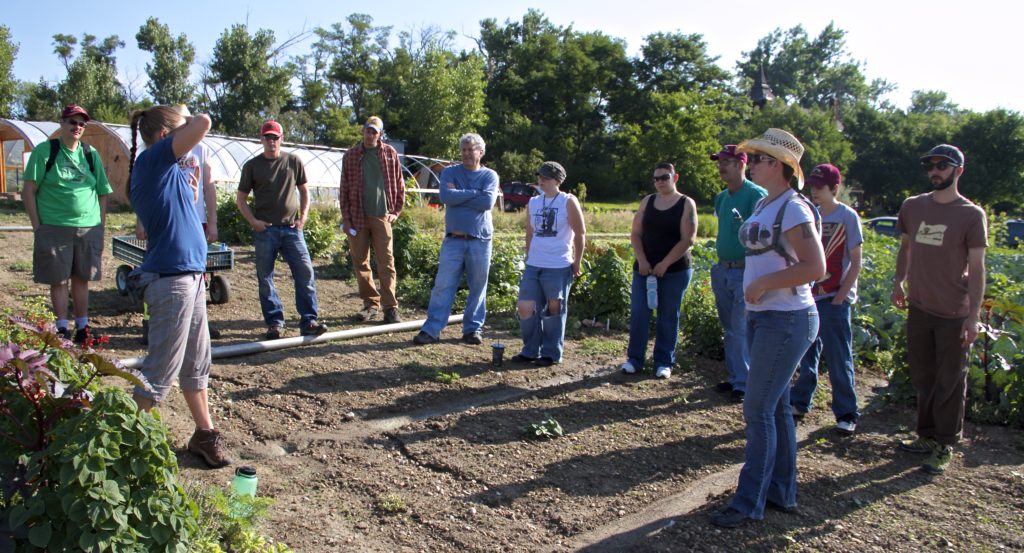 McCauley Farm 4