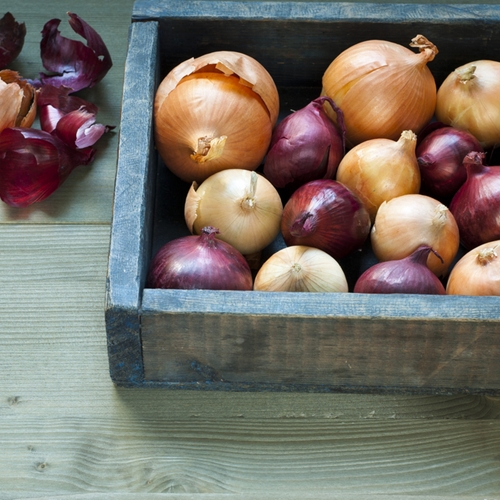 Colorado is the fourth biggest producer of onions by volume in the U.S. Farmers here grow red, white and yellow varieties.