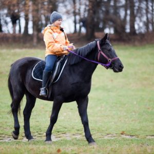 Located on an equestrian farm, one Texas restaurant recently received a high honor. 