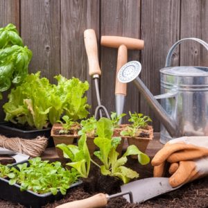 Garden produce often comes up in droves, which can overwhelm the gardener. Give it away when you don't think you'll use it all in time.