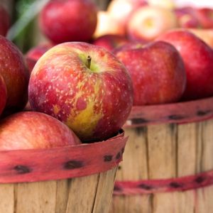 Don't let your surplus of apples spoil this fall.