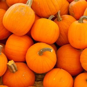 There's nothing better than a spicy pumpkin beer on a cold October night.