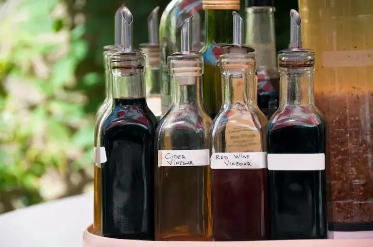 Assorted bottles of vinegar, including cider vinegar, red wine vinegar, and balsamic vinegar, labeled and displayed on a countertop.