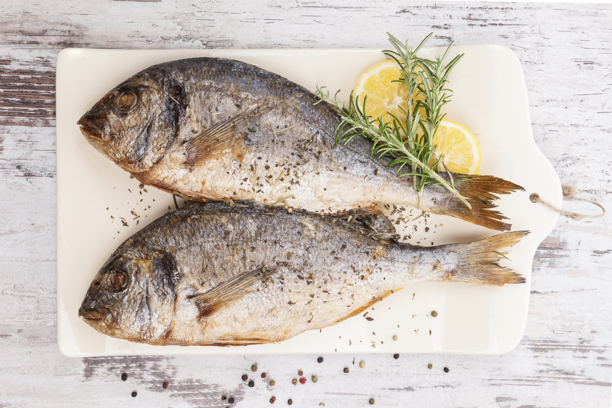 Seafood, luxurious mediterranean style.