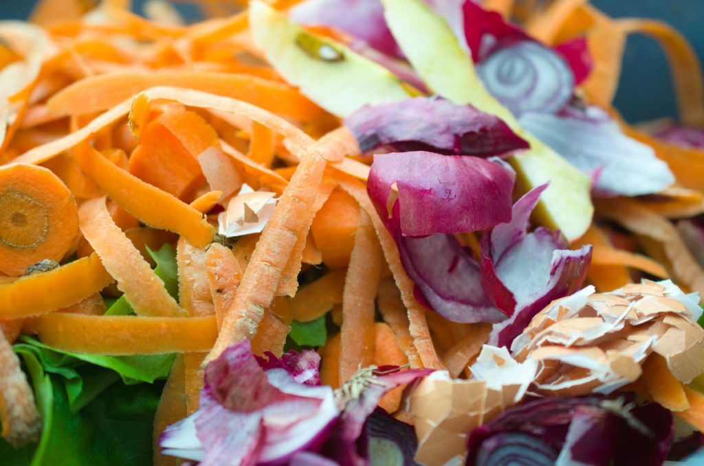 Food waste with carrot peels, onions, and egg shells