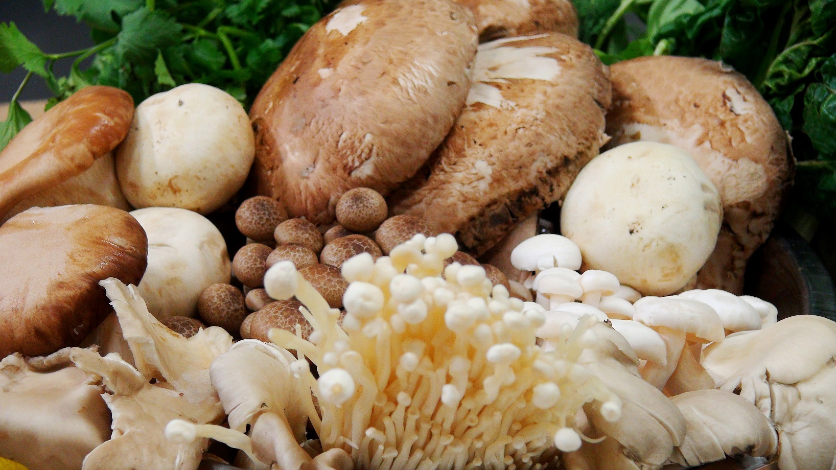 Mushrooms, truffles and rare wild herbs can fetch a pretty penny in a marketplace. 