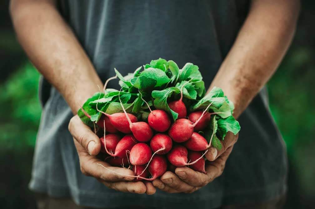 The Agricultural Learning Center at our Austin culinary school