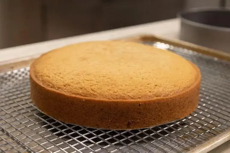 Baked vanilla cake cooling on a wire rack in a kitchen setting.