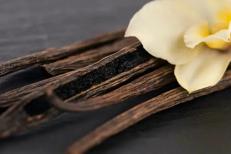 Close-up of whole vanilla pods and a vanilla orchid flower on a dark background.