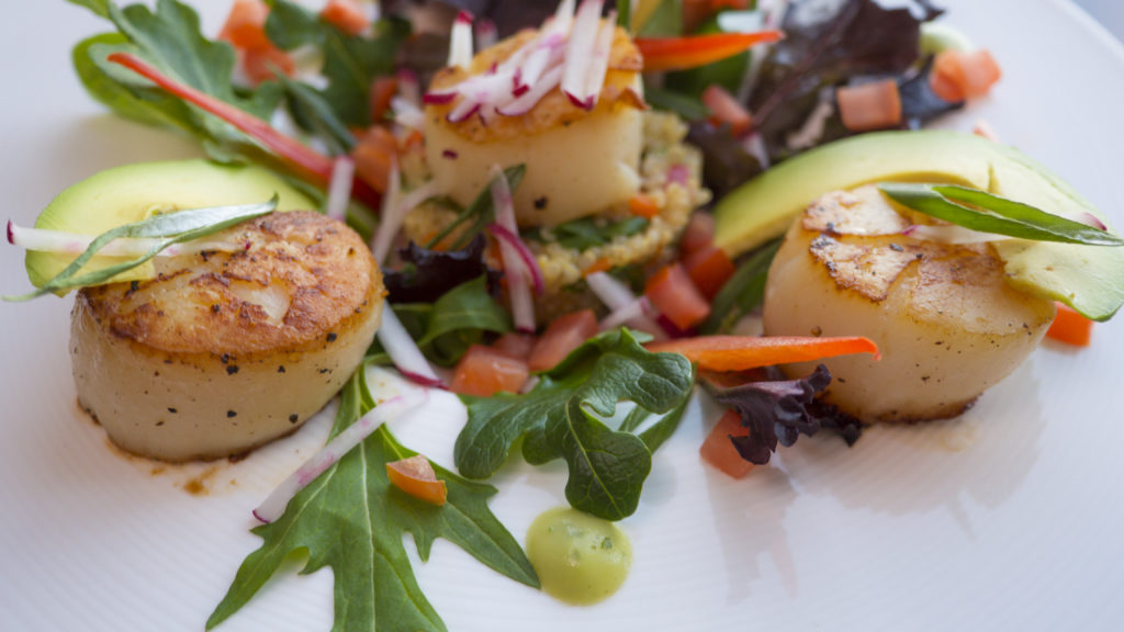 Scallops and spring salad on a white plate