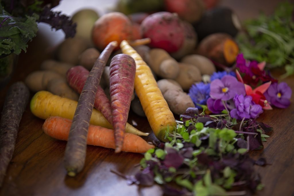 Multicolored fresh vegetables on a wooden table