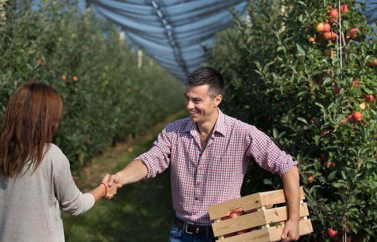Farmer shaking hands with someone while holding a box of apples next to trees