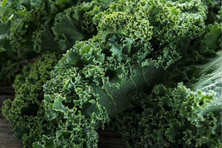 A bunch of curly green kale leaves.