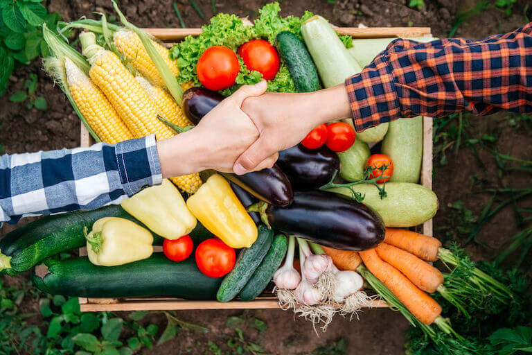 A handshake between two people in plaid shirts takes place over a basket of fresh vegetables.