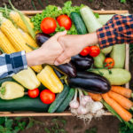 Handshake in the background wooden crate full of vegetables from organic garden.