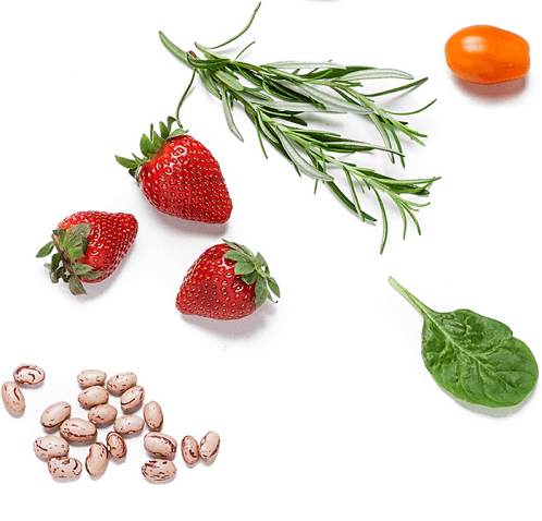 Strawberries, beans, and rosemary sit on a white background