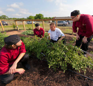 Austin Campus Garden