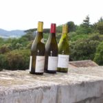 Three wine bottles outdoors on a ledge in France