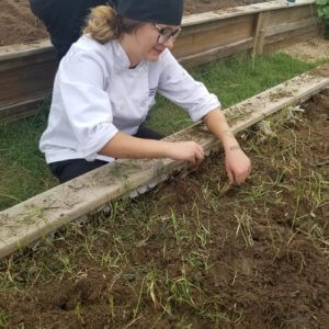 Escoffier student kneels down to work in the campus garden