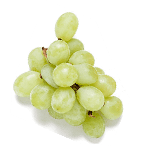 Vine of green grapes