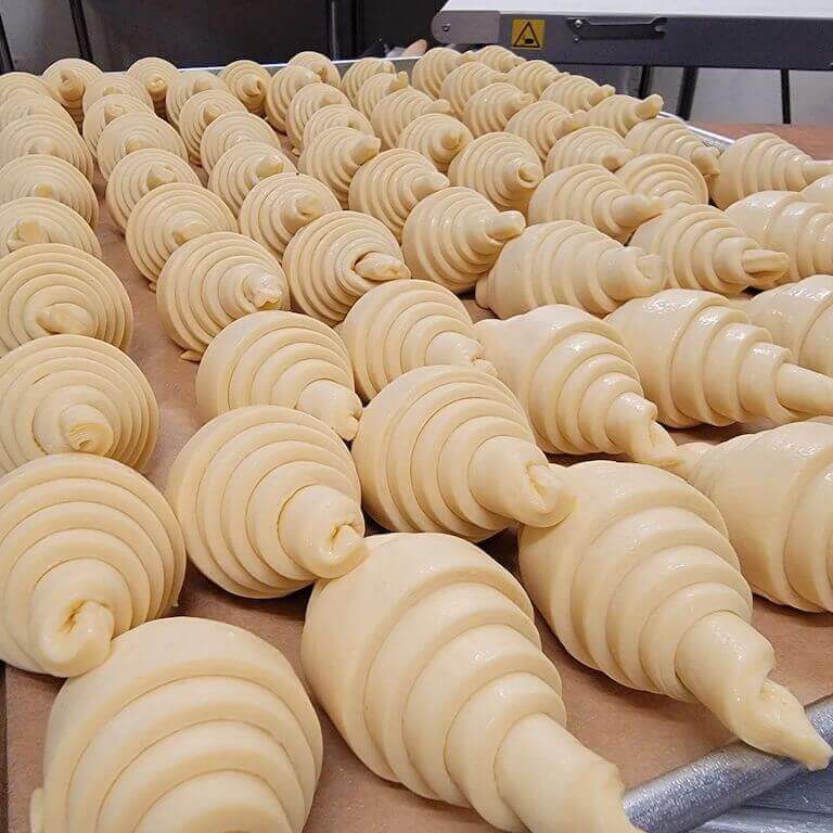 Rows of raw rolled croissants before baking