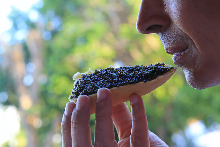 Close up of someone eating bread with black caviar
