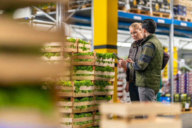 An executive chef and employee standing in a store looking at a large stack of fresh lettuce