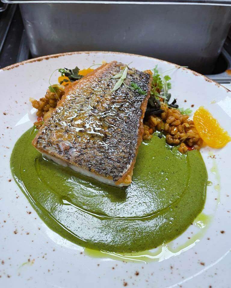 Cooked striped bass on a large white plate in a verdant green sauce.