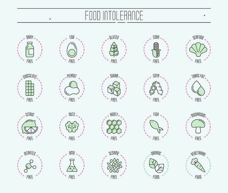 A collection of vector symbols of common food intolerances and preferences. Symbols indicate dairy, eggs, gluten, corn, seafood, chocolate, peanut, sugar, soy, trans-fat, citrus, nuts, honey, fish, mushroom, nitrates, GMO, or sesame-free.