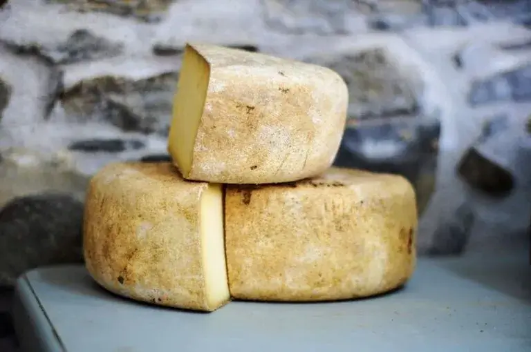 Wheels of cheese that have been stacked and cut, showing the rind.