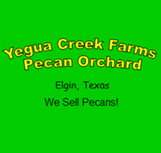 Yegua Creek Farms Pecan Orchard logo