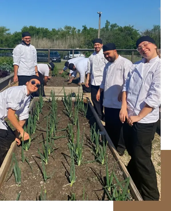 Escoffier Austin culinary students working together in the campus garden during a Farm to Table experience at the Austin Agricultural Learning Center
