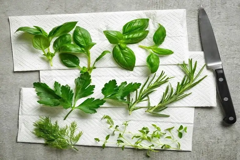 Fresh delicate and hardy herbs arranged on paper towels, including basil, parsley, dill, rosemary, and thyme, shown before storage.