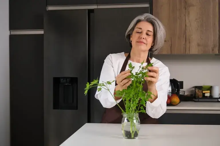 Person trimming and arranging fresh herbs in a glass jar of water on a kitchen counter.