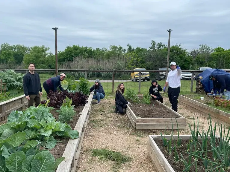 Culinary students working in raised bed vegetable gardens at an outdoor agricultural learning center, tending to crops including leafy greens and vegetables under an overcast sky.