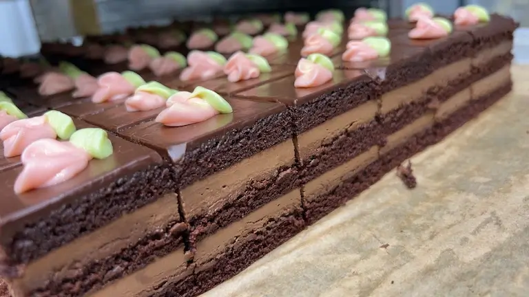 A grid of rectangular chocolate layer cake slices topped with smooth chocolate glaze, each decorated with a small pink piped frosting flower and green leaf detail.