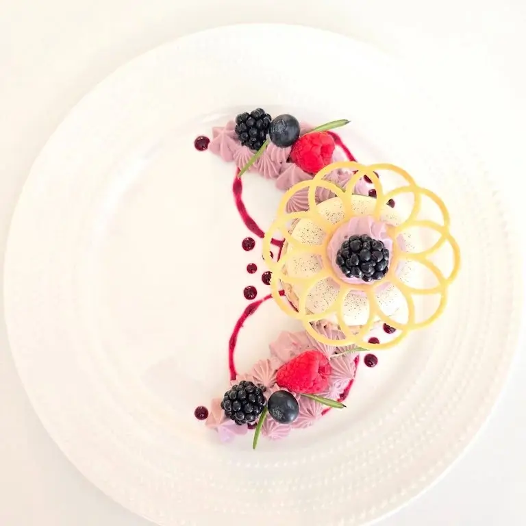 Overhead view of a plated coconut panna cotta topped with whipped berry cream, a single blackberry, and a decorative flower-shaped lattice tuile, artfully arranged on a white plate with fresh berries, piped pink cream, and berry coulis drops.
