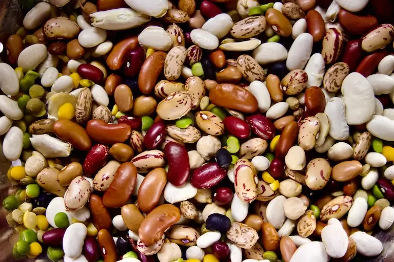Close-up assortment of dried beans and legumes in different colors, sizes, and shapes.