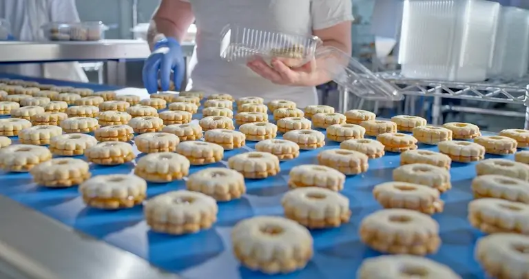 Cookies being packaged into containers on a bakery production line.