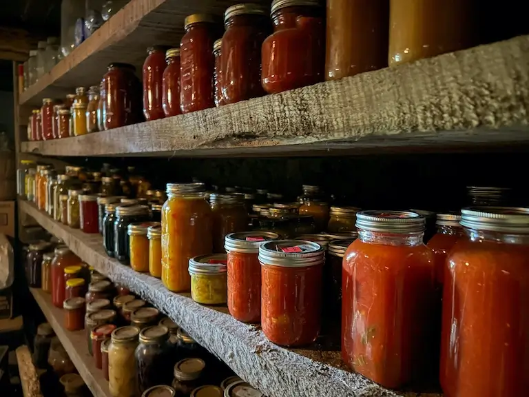Glass jars filled with preserved tomatoes, sauces, and vegetables arranged on wooden shelves.